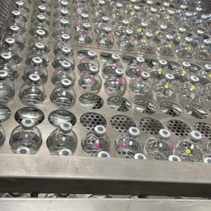Congres - Batch in vitro