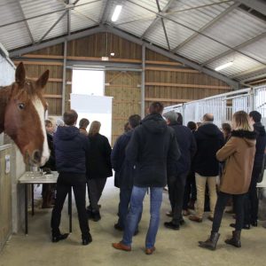 Congres 2018 - Atelier nutrition cheval