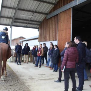 Congres 2018 - Atelier performances cheval